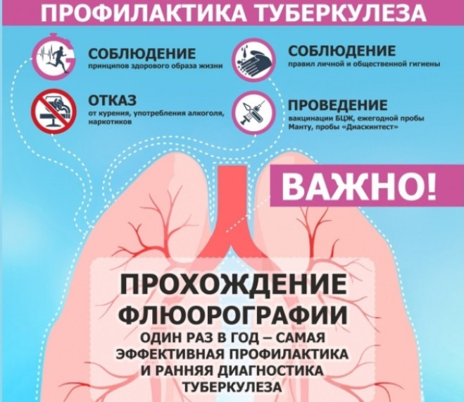 Профилактика туберкулеза.